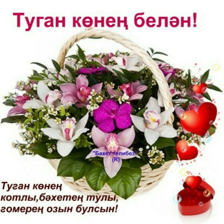 Туган конен Котто болсын бесплатно