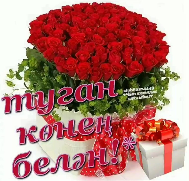 Поздравления с днём рождения мужчине на татарском