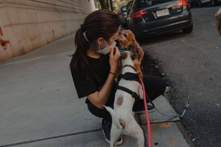 Конор Лесли элементарно