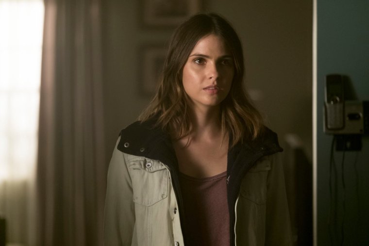 Шелли Хенниг Волчонок