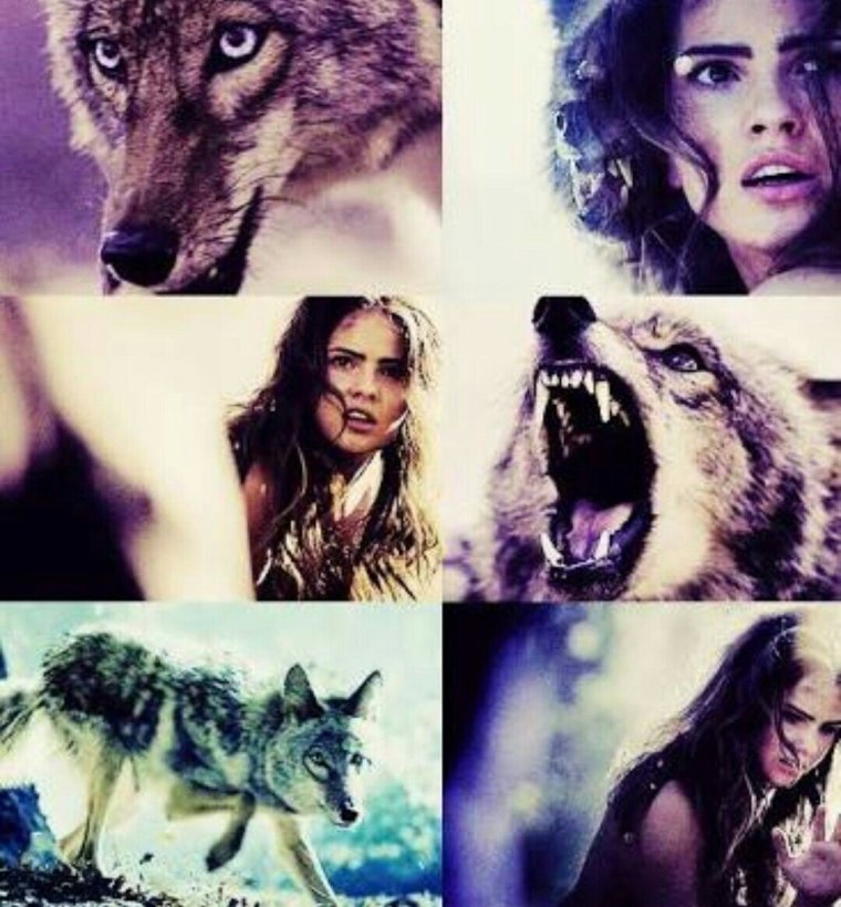 Малия Хейл волк