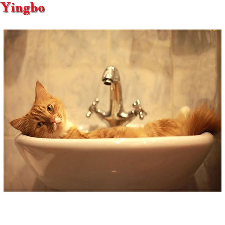 Котик купается в ванной