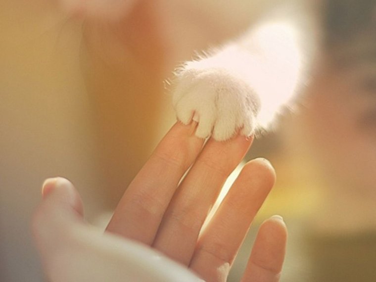 В мире полном ненависти нужно уметь надеяться