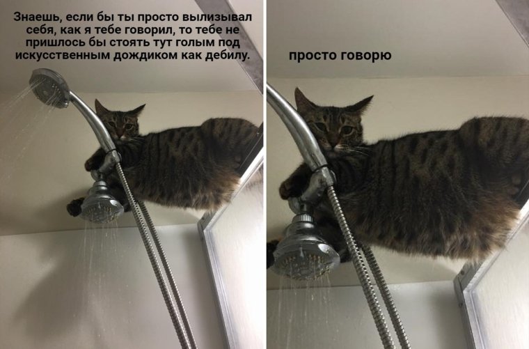 Душ прикол