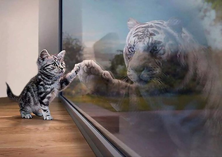 Сила внутри тебя