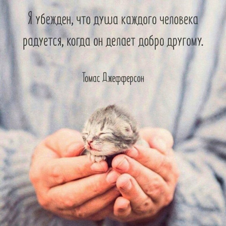 Добрые цитаты