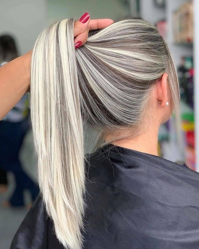 Мелирование Зебра 2022