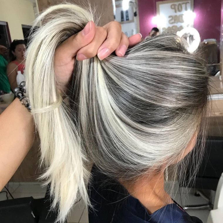 Мелирование Зебра 2022