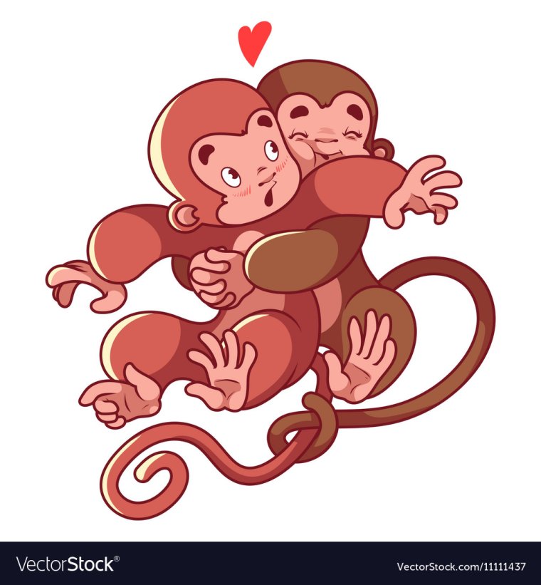 Обезьянки обнимаются