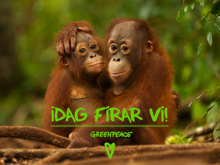 Две мартышки