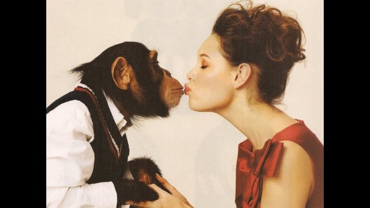 Обезьяна целует девушку