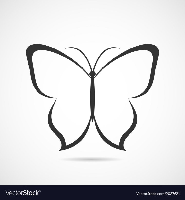 Стильный контур бабочки