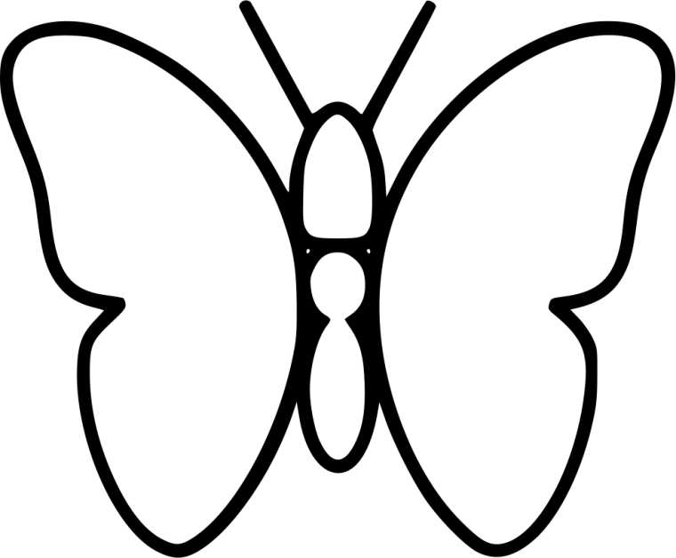 Бабочки картинки красивые