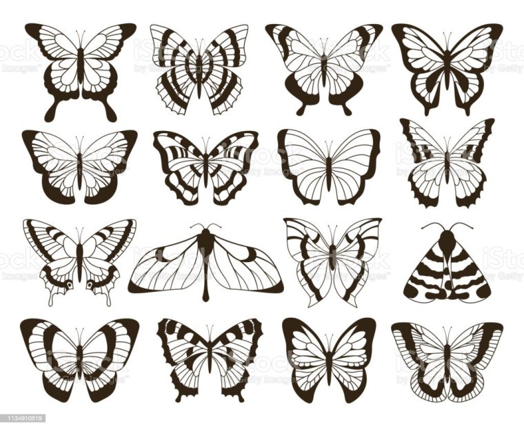 Бабочка трафарет для аппликации