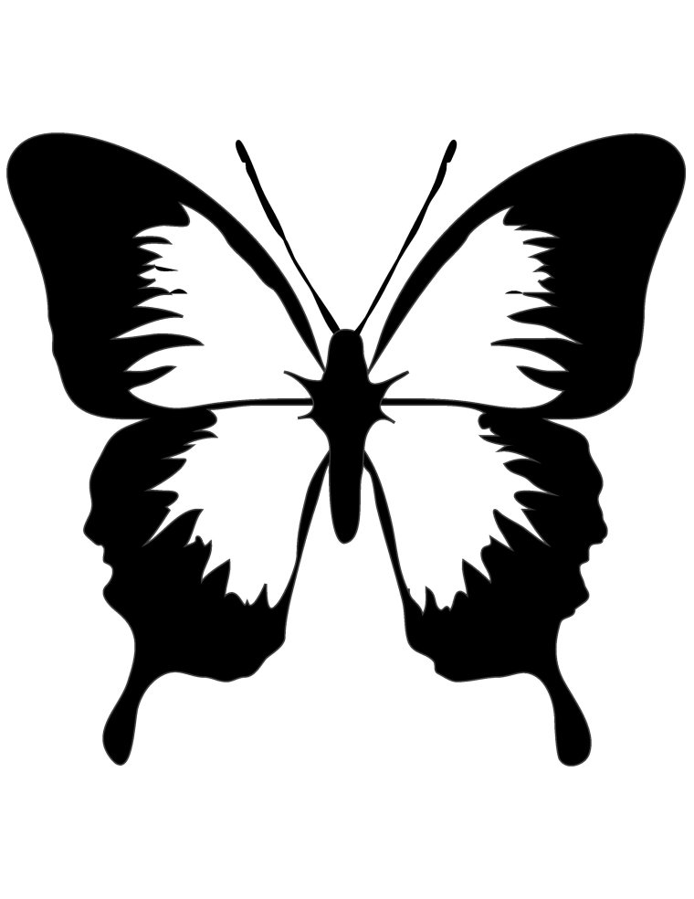 Бабочка контур