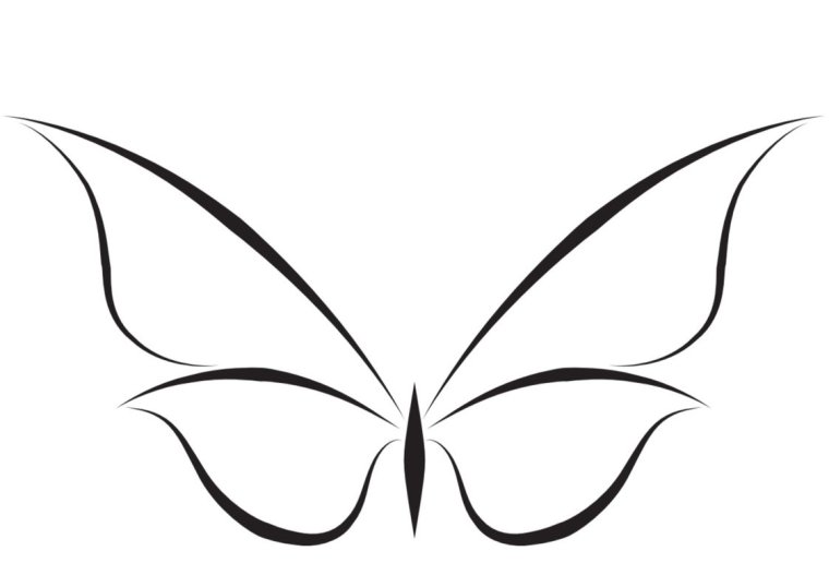 Бабочка монохром