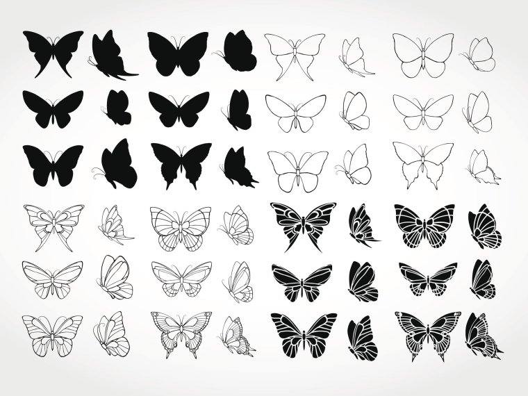 Шаблон бабочки
