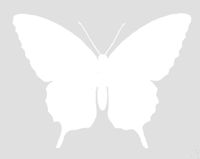 Бабочка вектор силуэт