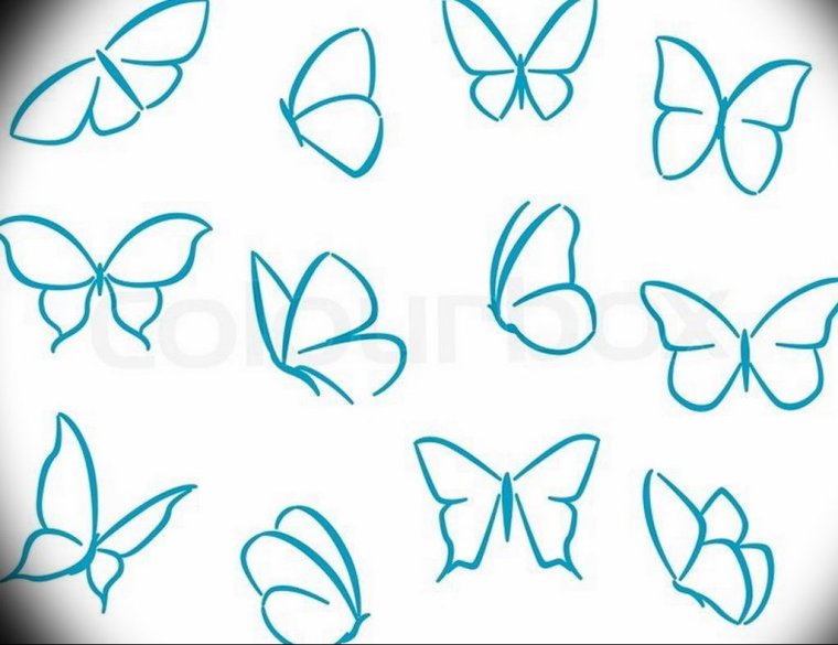 Симметричная бабочка шаблон