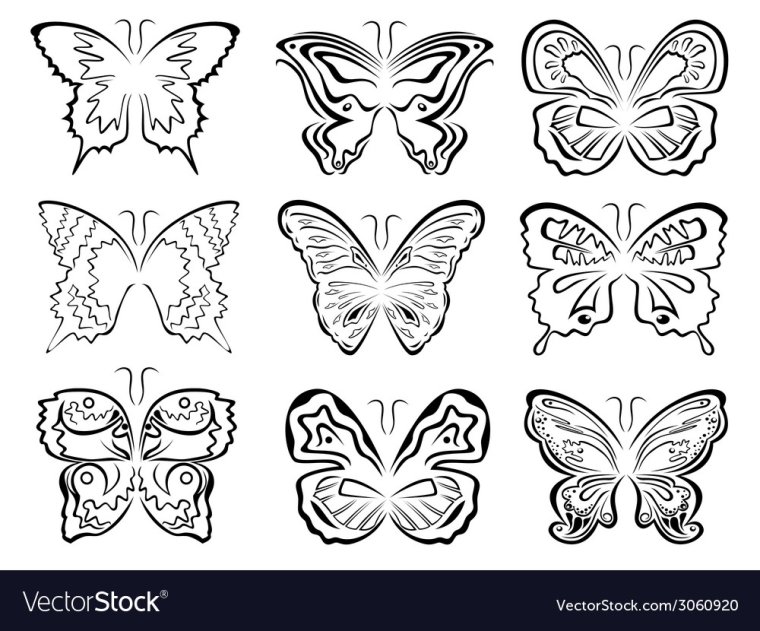 Бабочка сидит силуэт