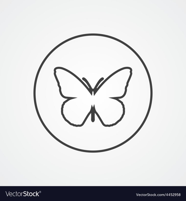 Контур бабочки на белом фоне
