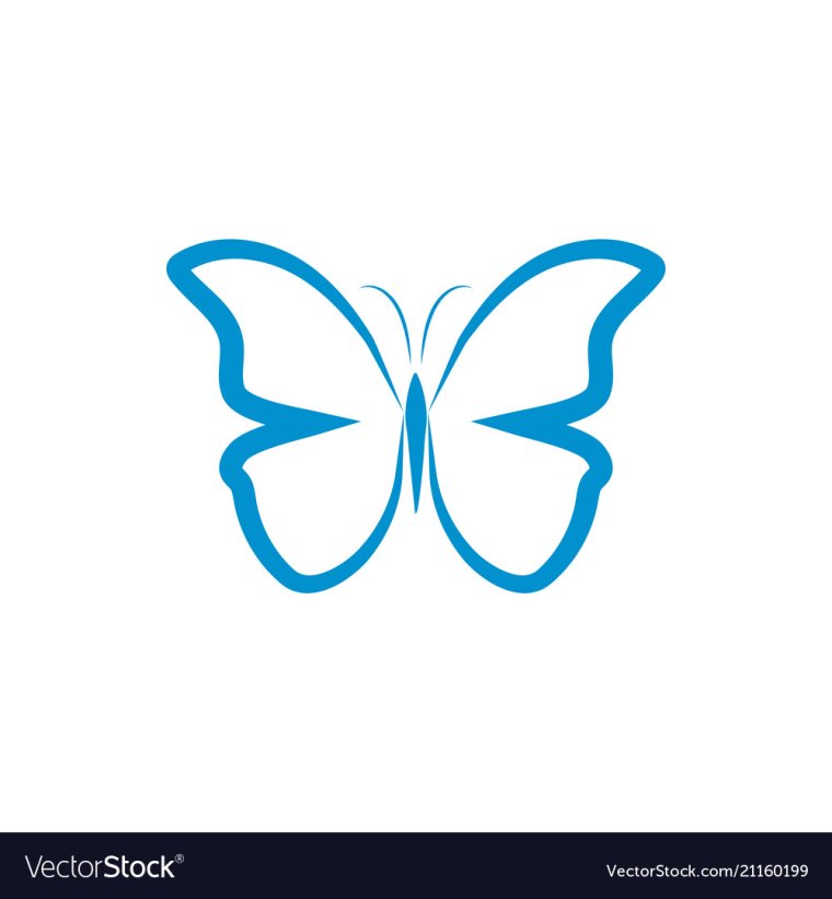 Контур бабочки для логотипа