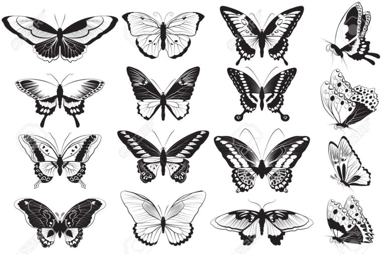 Бабочки для печати черно белые