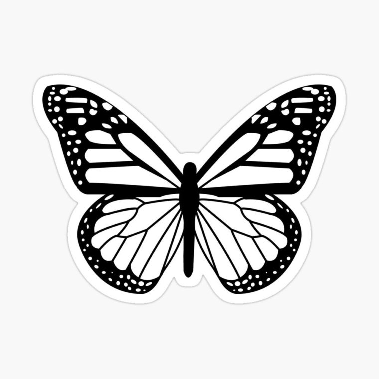 Бабочка сидящая черно белая