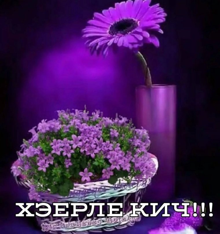 Картина Хаерле Кич