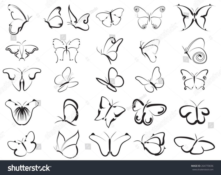 Бабочка вектор контур