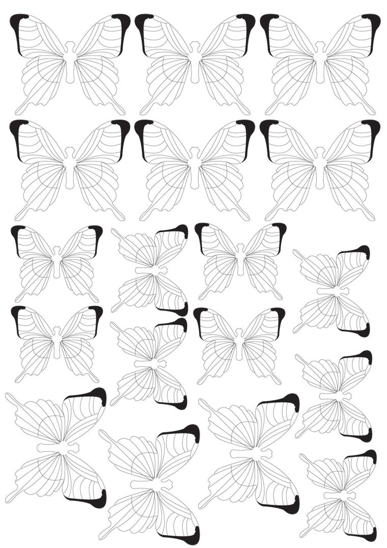 Силуэт бабочка для детей