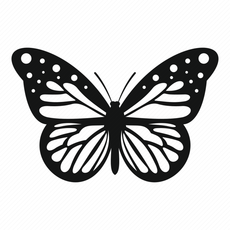 Бабочка шаблон для рисования для детей