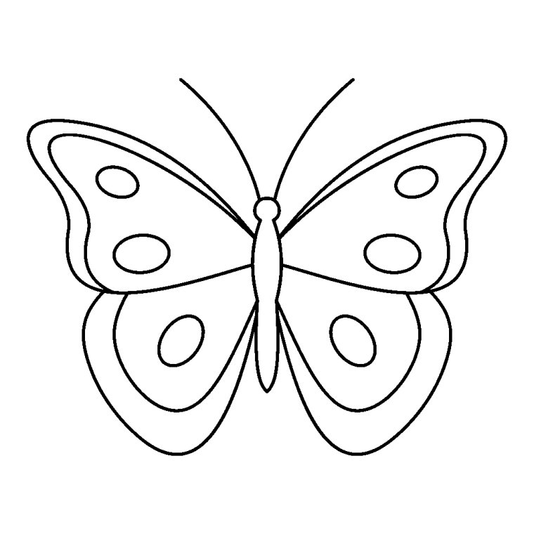 Бабочка черно белая