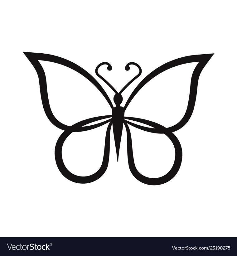 Бабочка чб контур