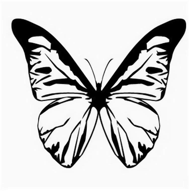 Бабочка иконка