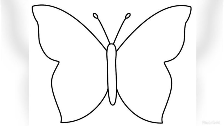 Бабочка силуэт белый