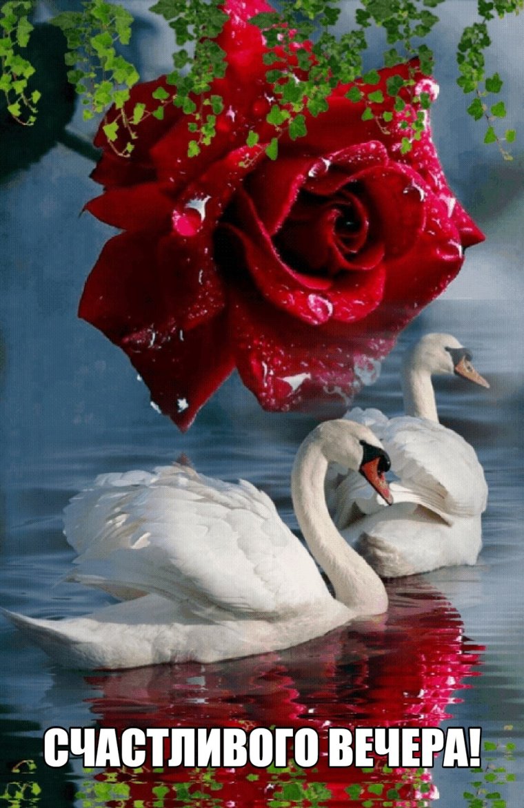 Хэерле Кич Живая природа