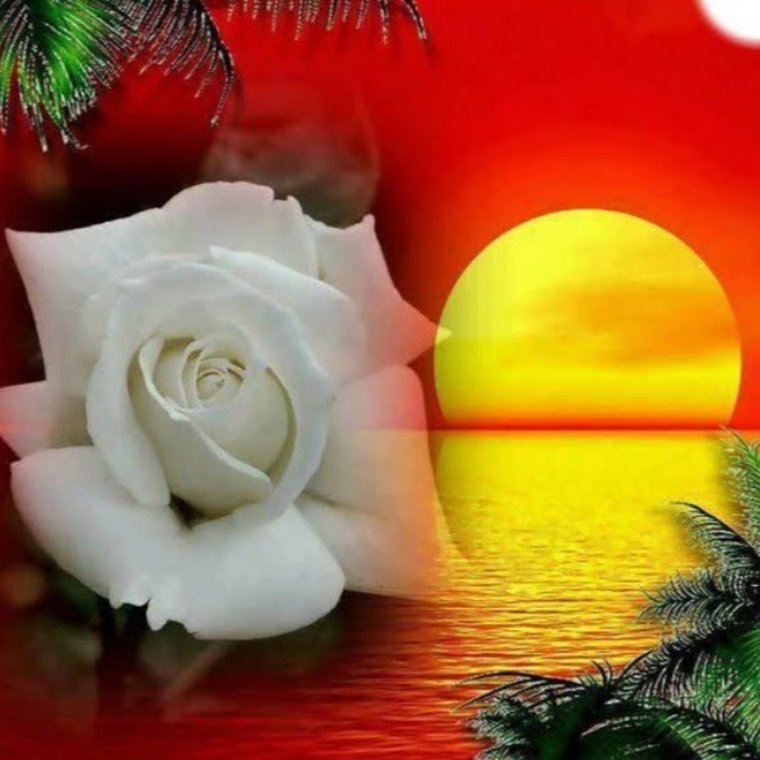 Добрый вечер солнышко моё