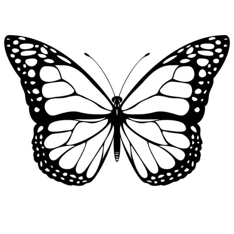Бабочки из пинтереста черно белые