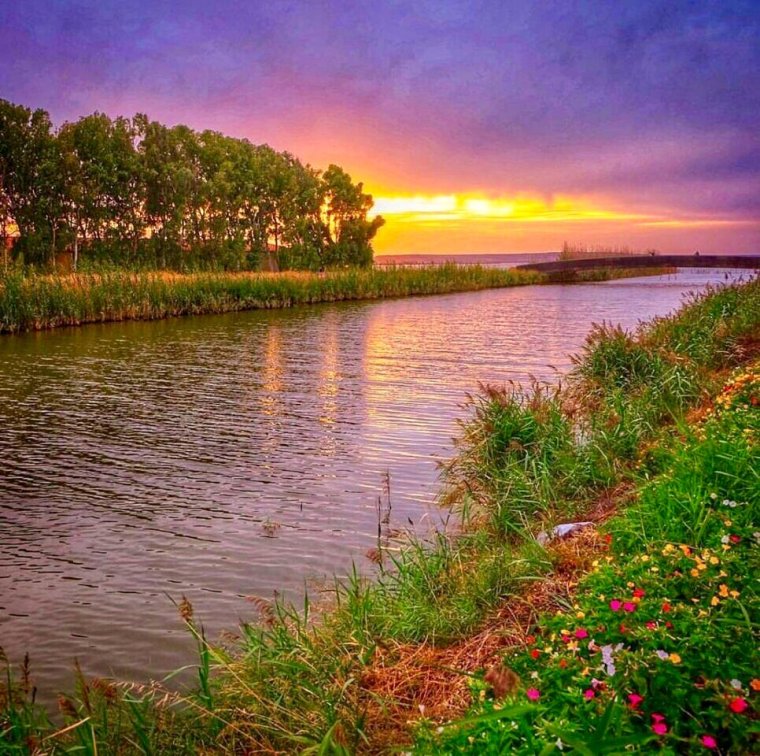 Летний вечерок