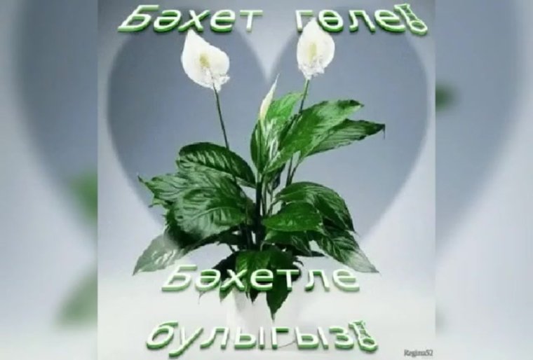 Бэхет тоне открытка