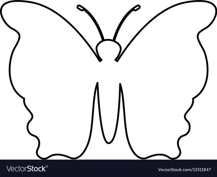 Много бабочек на фоне раскраска Эстетика