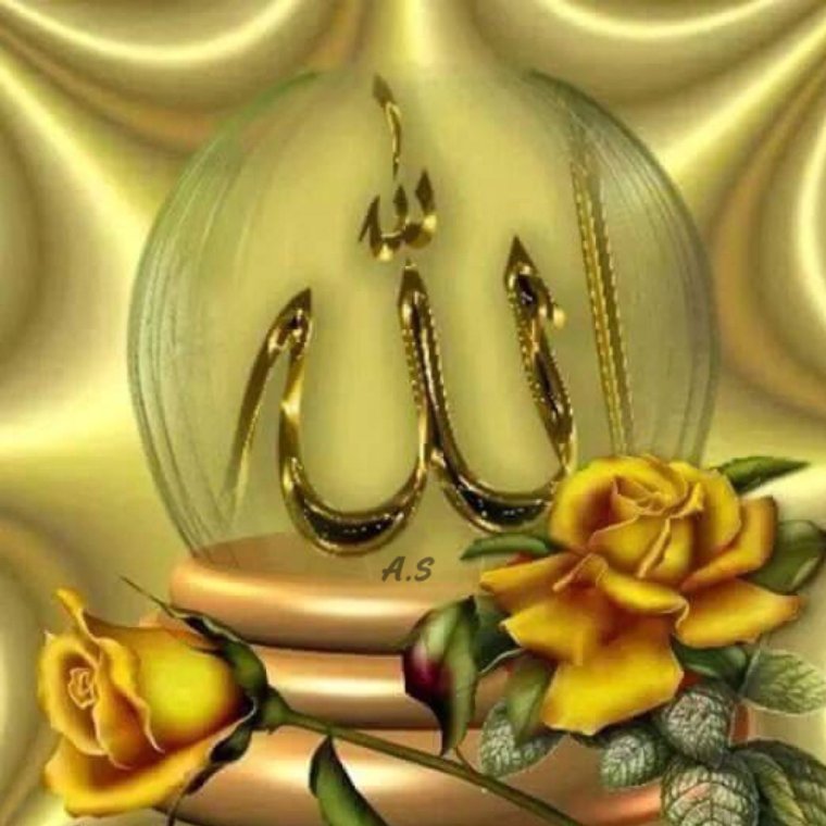 Хамзалатова Айна