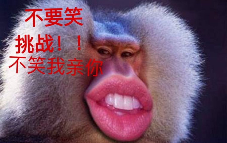 Узкоглазая обезьяна