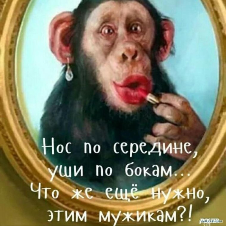 Южноамериканский уакари