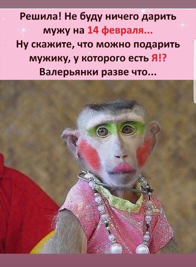 Крашенная обезьяна