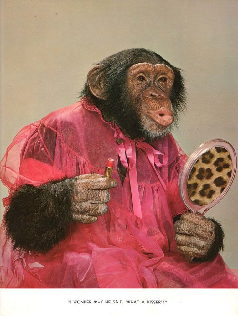 Мартышка с микрофоном