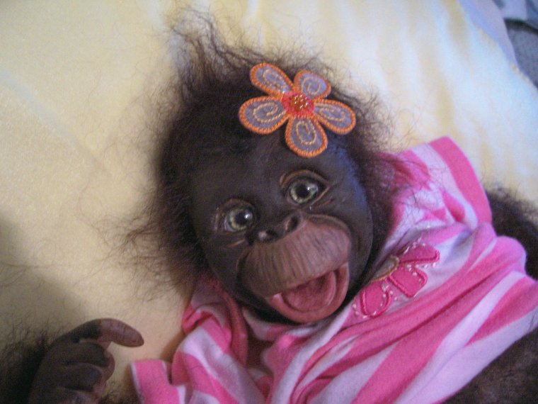 Накрашенная шимпанзе