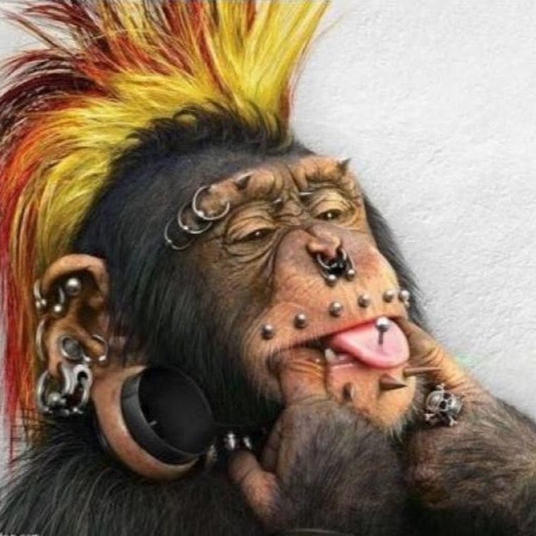 Абеяны с большими губами