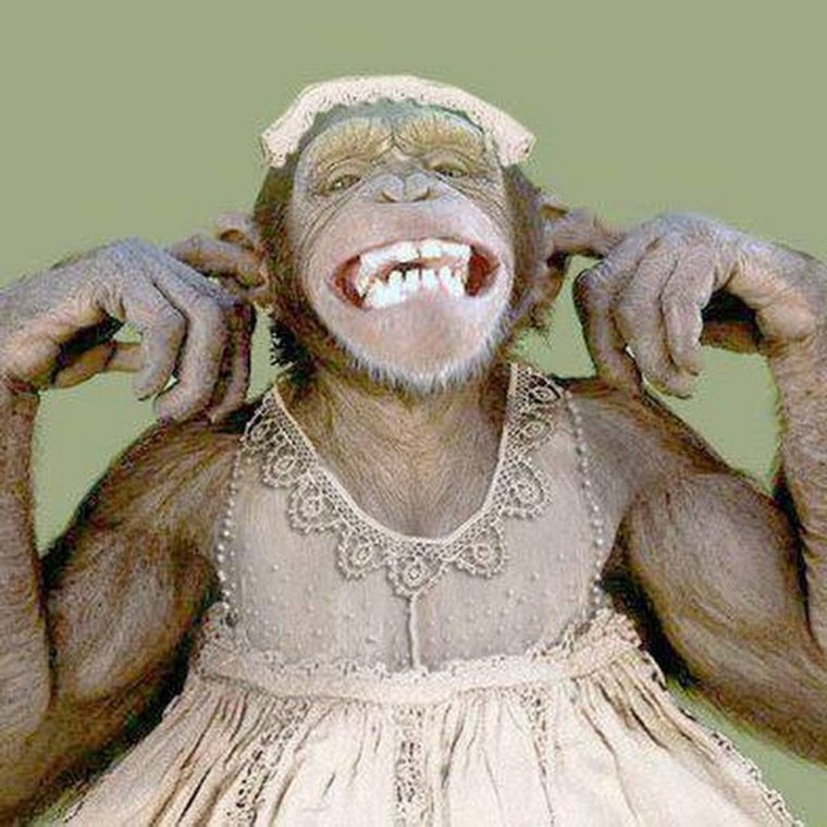 Шутки про красоту